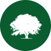 Fully Certified Arborists in Dallas - North Texas Trees