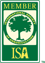 ISA member tree care service company in dallas texas