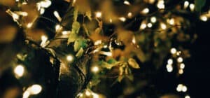 holiday tree-wrapping services in dallas