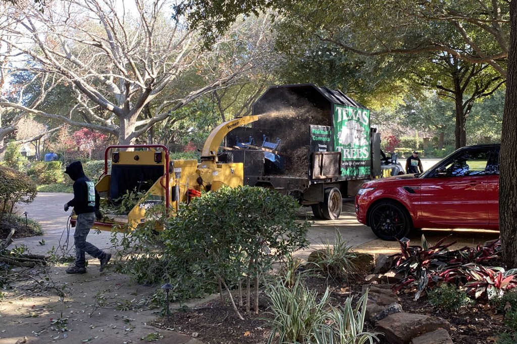 Parker Tree Service Company - North Texas Trees